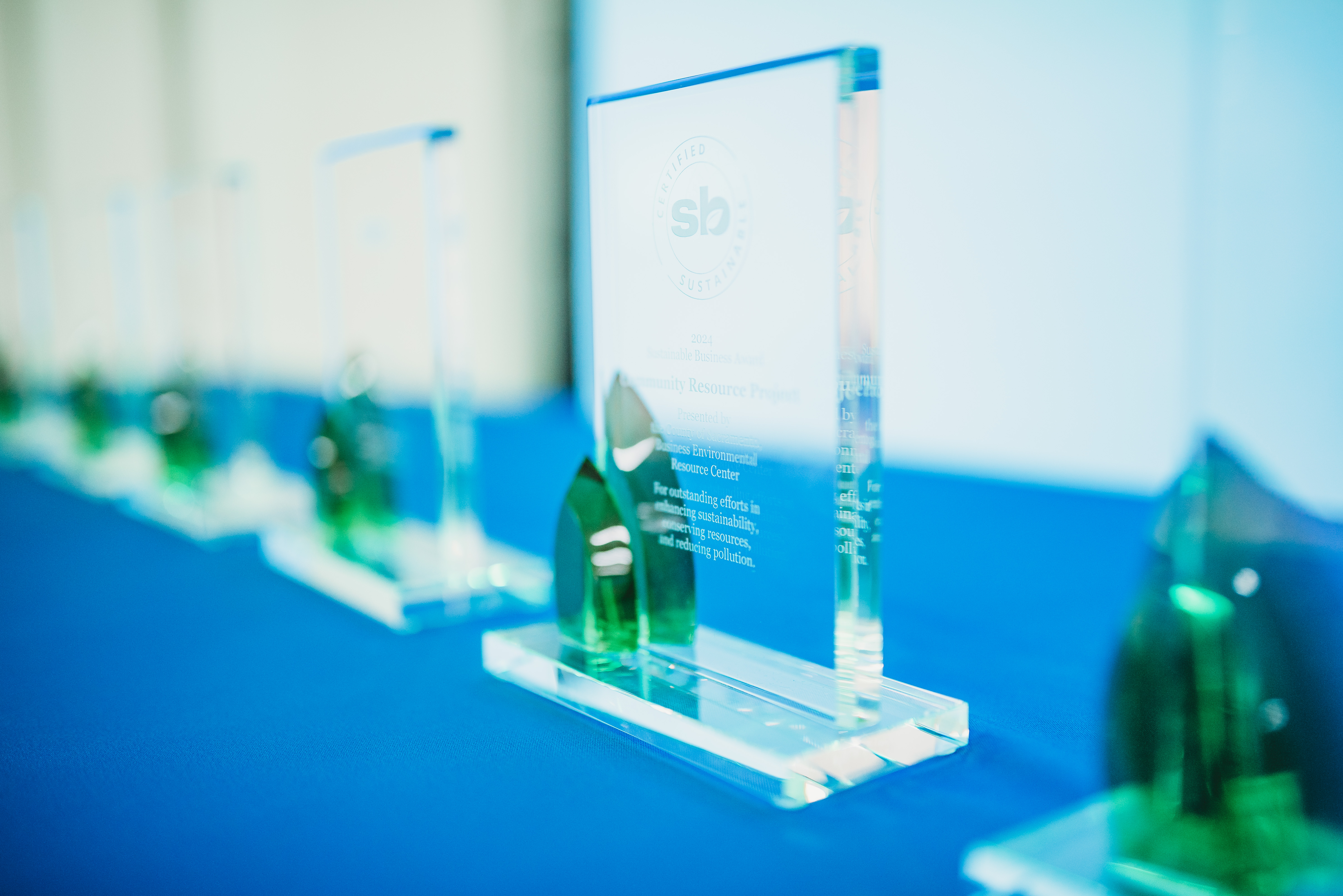 Sustainable Business Award