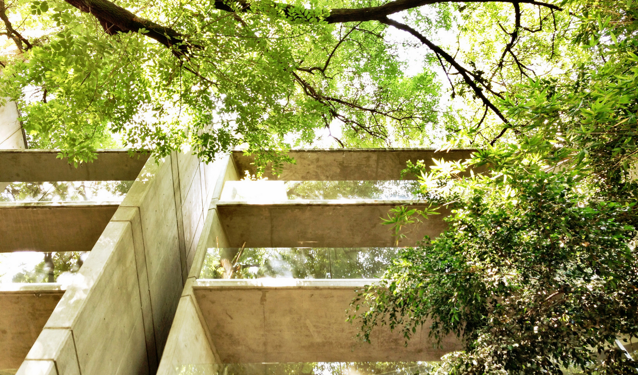 placeholder image describes ideal width and height for image