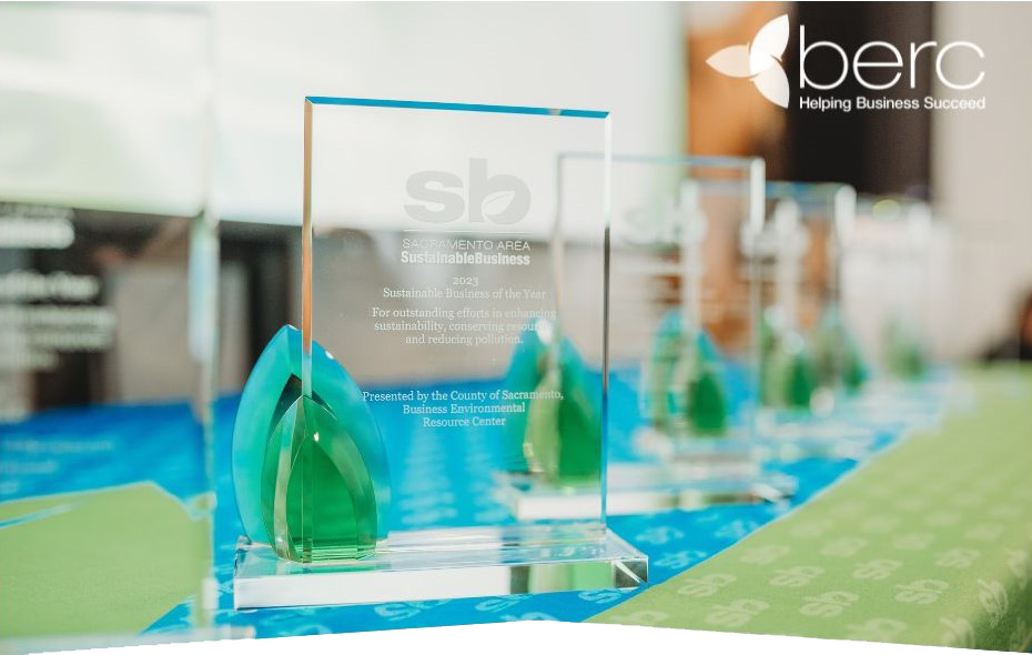 Sustainable Business Award image